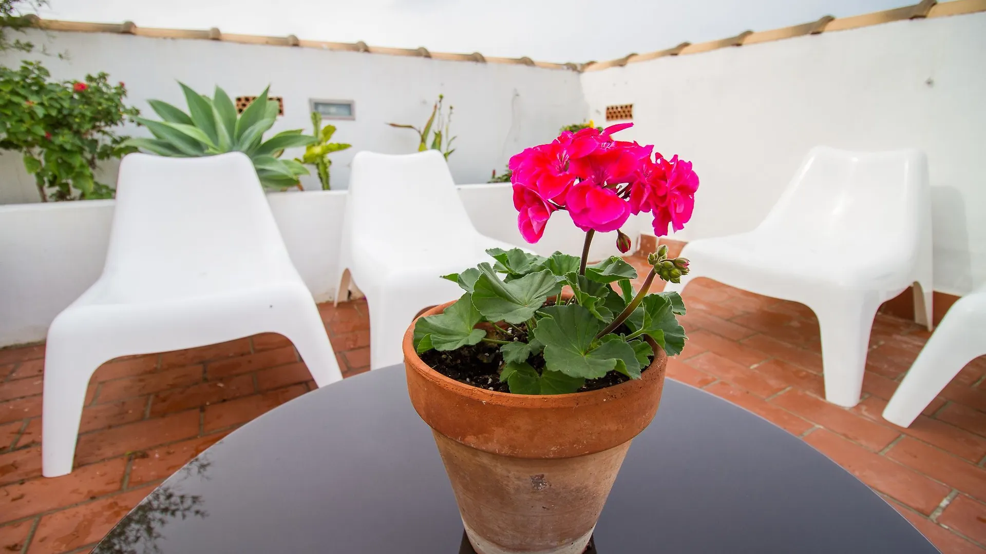 Adorable Apartment Ollerias Malaga